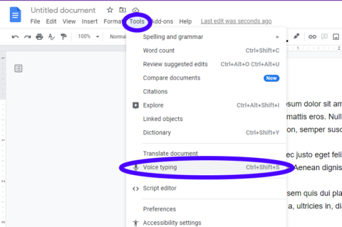 Handsfree Typing with Google Docs | ProfessorRome.com