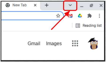 Google Chrome Search Tab Icon