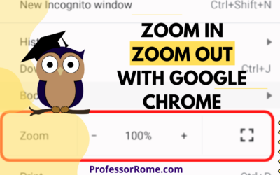 Google Chrome: Zoom In, Zoom Out
