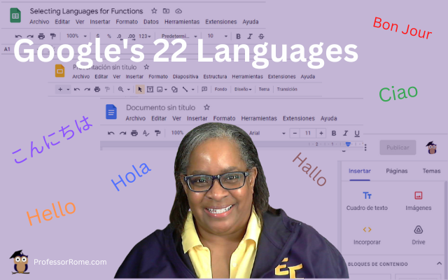 Google has 22 languages
